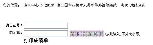 2013年南京职称英语考试成绩查询入口