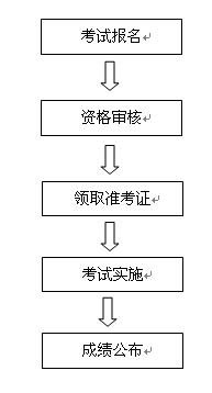 卫生高级职称考试流程图