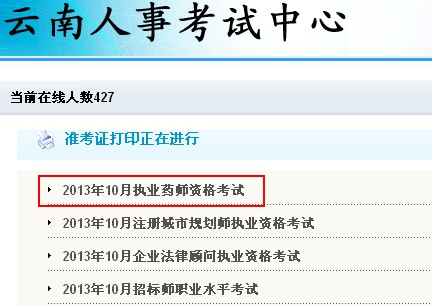 2013年云南执业药师准考证打印入口