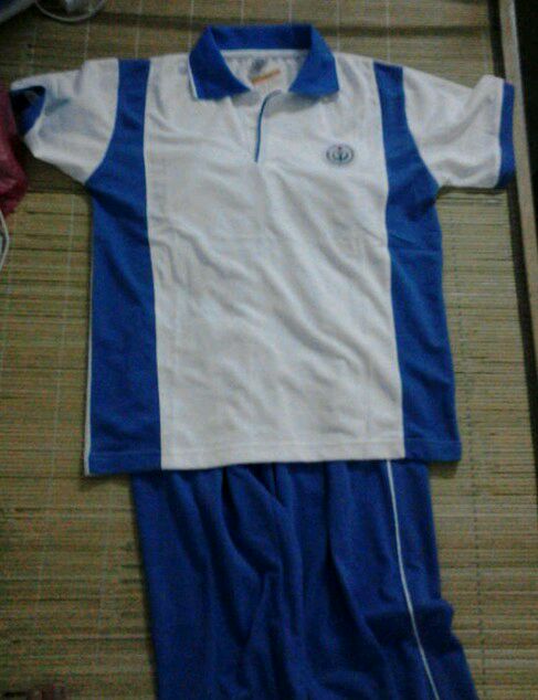 新兴中药学校校服图片