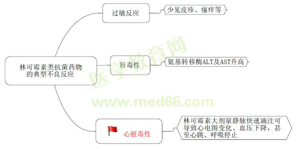 《药学专业知识(二)》“那点小事儿”