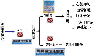 有机磷酸酯类的中毒机制和解救方法