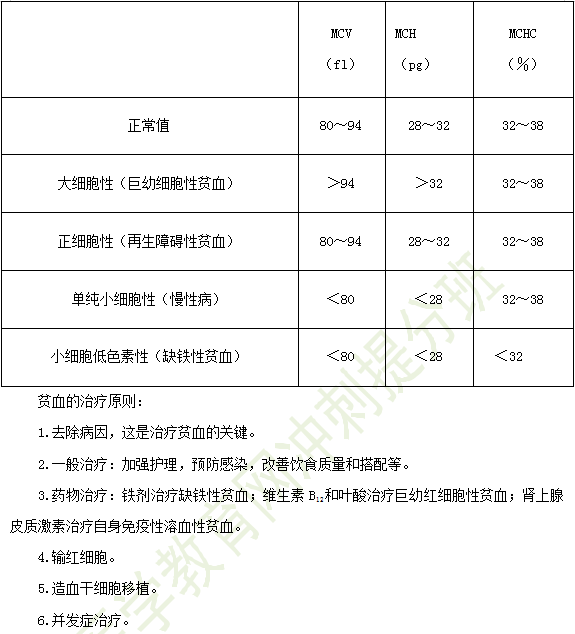 小儿造血