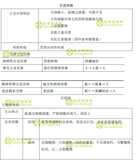 立克次体