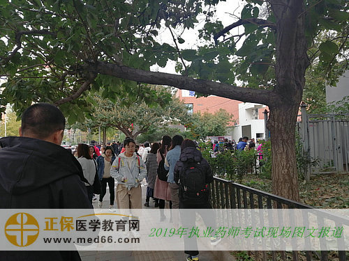 致2019年全国执业药师考生：你们努力的样子真美！
