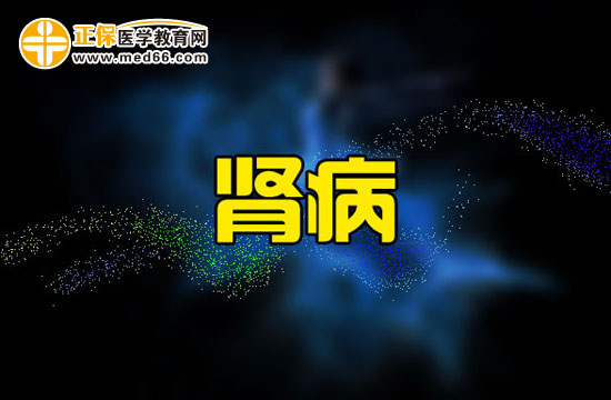 肾病