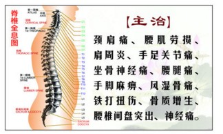 高级中医康复理疗师的名片样本