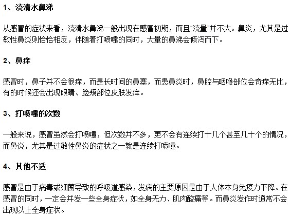 教你如何从症状表现区分鼻炎与感冒