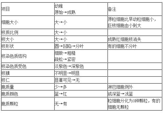 血细胞发育过程的一般规律