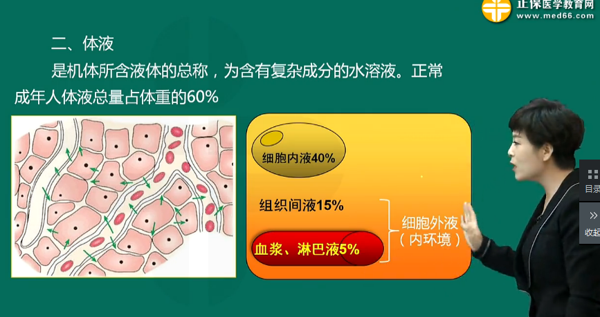 机体生理功能的调节的方式-临床助理医师生理学辅导