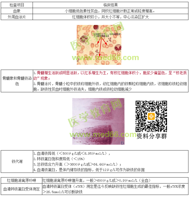 缺铁性贫血的实验室检查项目及临床结果