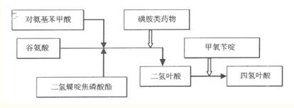 医学教育网整理磺胺类药物