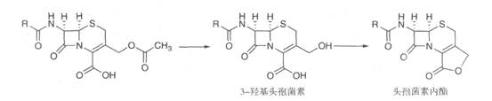 头孢霉素