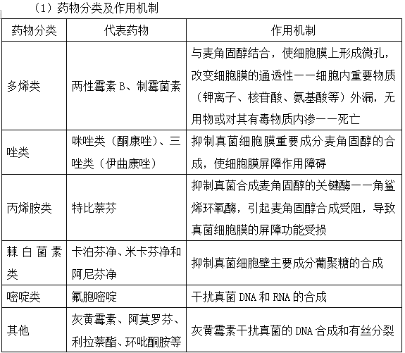 抗真菌药的作用机制