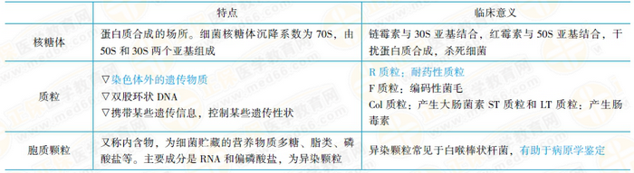 细菌细胞结构的医学意义