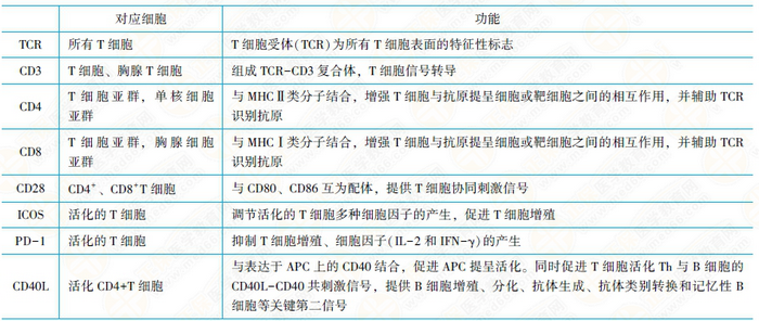 TCR-CD3复合物