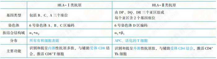 主要组织相容性复合体及其编码分子