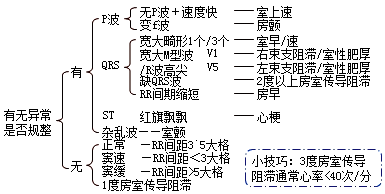 心电图解题步骤解析图