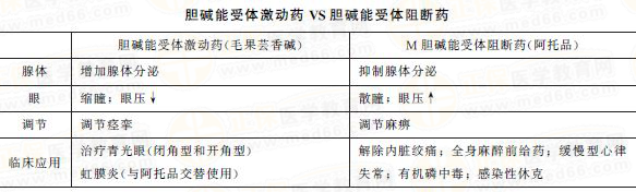 M胆碱受体阻断药