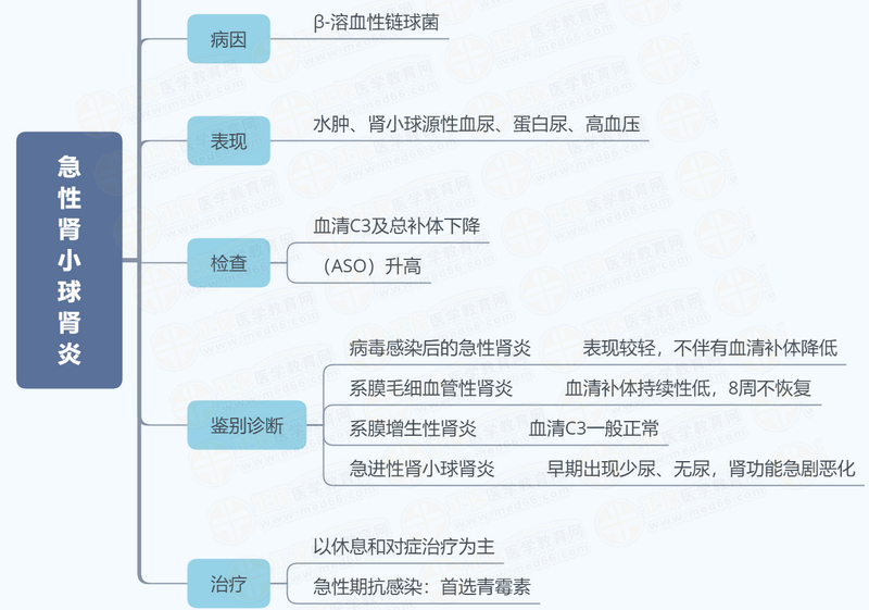 急性肾小球肾炎