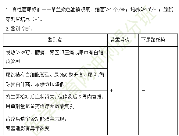 急性肾盂肾炎的诊断及鉴别诊断