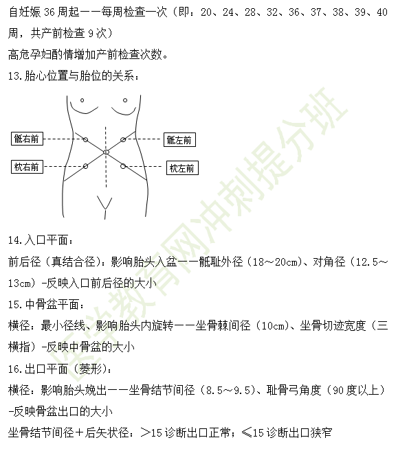 妊娠诊断