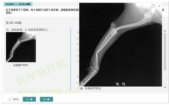 执业兽医资格考试机考操作指南