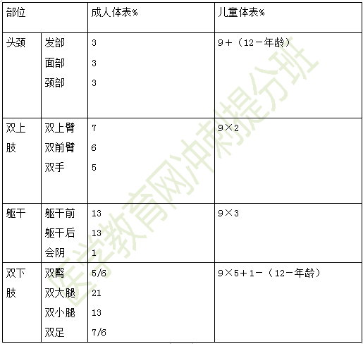 烧伤面积九分法